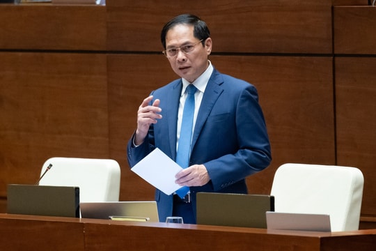 Bộ trưởng Ngoại giao: Đã thực hiện nhiều giải pháp bảo hộ công dân ở nước ngoài