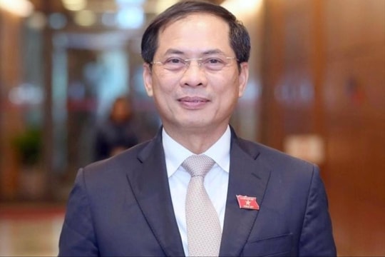 Bộ trưởng Bùi Thanh Sơn đăng đàn trả lời chất vấn