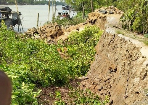 Hậu Giang xảy ra 8 điểm sạt lở