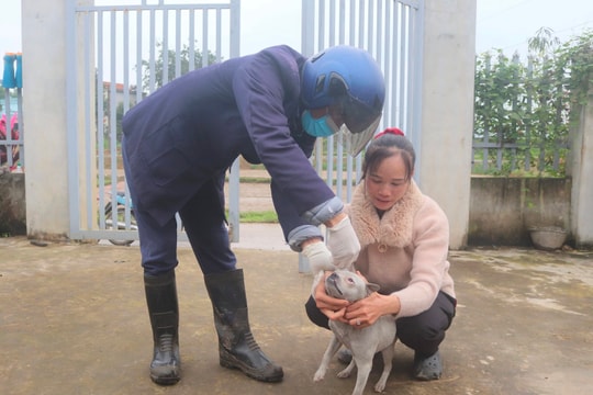 Tăng cường phòng chống, dập dịch, tiêm phòng bệnh dại trên địa bàn Quảng Ninh