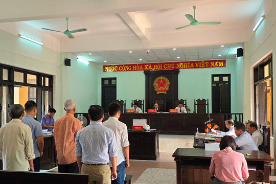 Trả hồ sơ vụ án gây thiệt hại cho nhà nước hơn 11.000 mét khối gỗ thông