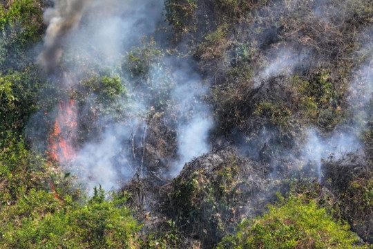 Tây Ninh: Cháy rừng tại di tích núi Bà Đen