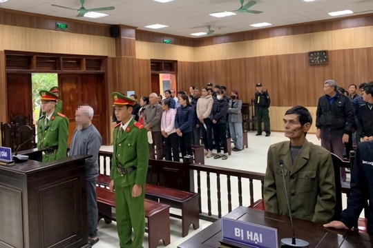 Dùng điện bẫy chuột gây chết người