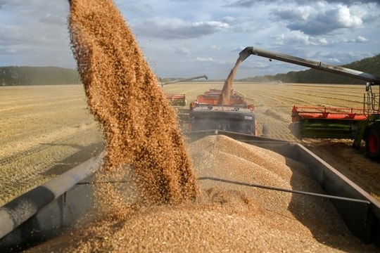 EU chuẩn bị áp thuế nông sản Nga, Belarus