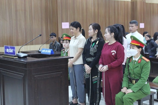 Bố mẹ và con gái cùng vào tù vì ma túy
