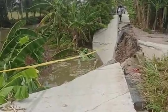 Đoạn đường đi qua ấp Chắc Đốt, xã Châu Hưng A gãy đổ hoàn toàn