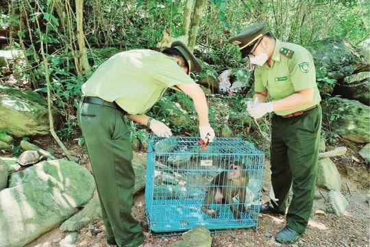 Phát động chiến dịch hành động vì động vật hoang dã