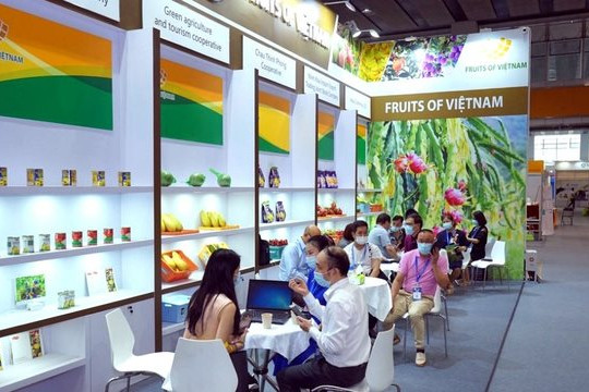 Trường hợp không cấp phép mở Văn phòng đại diện cho tổ chức xúc tiến thương mại nước ngoài