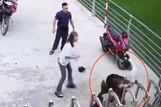 Nam thanh niên bị đâm gục trước cổng công ty
