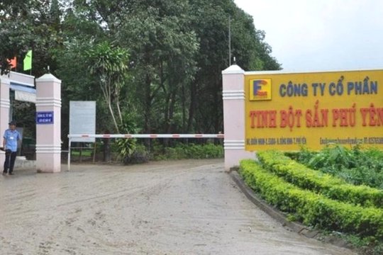 Xử phạt Công ty Tinh bột sắn Phú Yên 3,4 tỷ đồng vì gây ô nhiễm môi trường