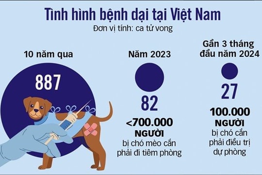 Nghệ An: Thả rông chó – hiểm hoạ tai nạn giao thông và bệnh dại