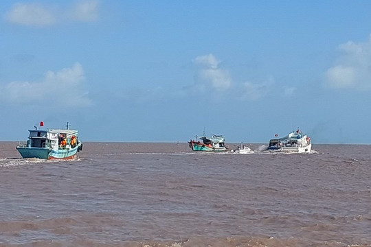 Thả hơn 6 triệu con giống tái tạo và phát triển nguồn lợi thủy sản