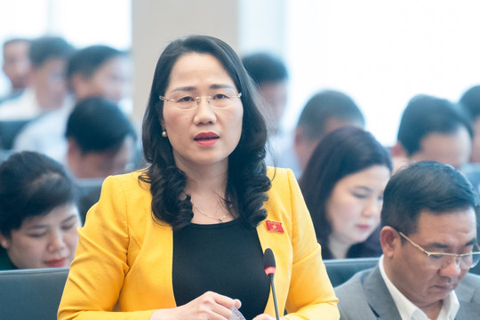 5 lý do để quy định 2 ngạch Thẩm phán