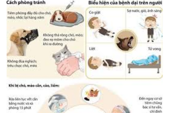 Kiểm soát các bệnh lây truyền từ động vật sang người còn nhiều thách thức