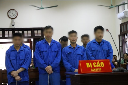 Tổ chức đưa người xuất nhập cảnh trái phép