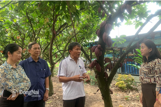 Tai nạn trên cao tốc Vĩnh Hảo - Phan Thiết: Một người tử vong