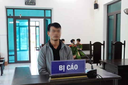 Xét xử nghiêm hành vi vi phạm về khai thác, bảo vệ rừng và lâm sản