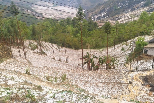 Mưa đá, dông lốc gây thiệt hại hàng tỷ đồng tại Hà Giang