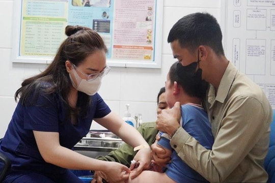 Quảng Bình nguy cơ thiếu vaccine phòng bệnh dại do người tiêm tăng đột biến