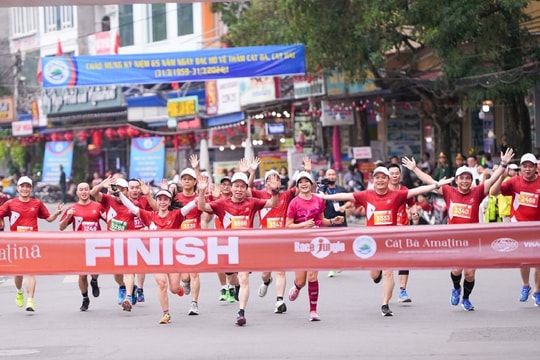 Tổ chức ngày hội khinh khí cầu và Giải chạy Fastestx Cát Bà Amatina