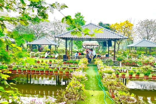 Triển vọng từ mô hình du lịch làng nghề sinh vật cảnh