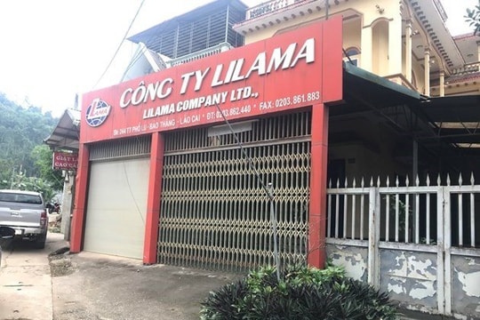 Giám đốc Công ty Lilama đã "rửa tiền" hơn trăm tỷ như thế nào?