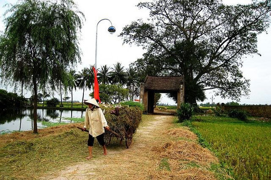 Làng cổ Đường Lâm thu hút khách quốc tế với sản phẩm trải nghiệm làm nông dân