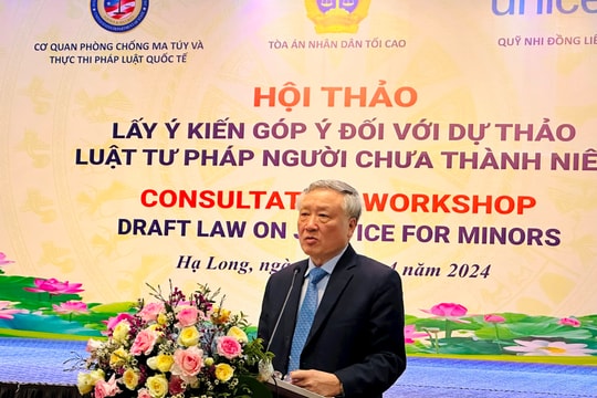 Cần sớm đưa Luật Tư pháp người chưa thành niên vào cuộc sống