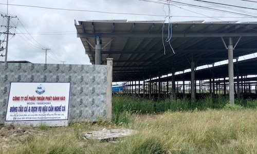 Công ty CP Thuận Phát Gành Hào bị xử phạt gần 550 triệu đồng