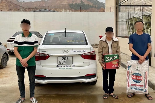 Buôn bán, vận chuyển trái phép rắn hổ mang