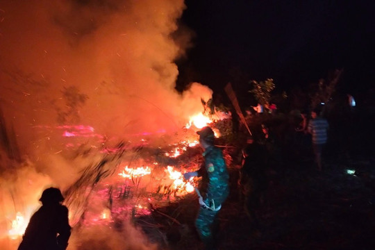 Đốt thực bì gây cháy rừng tại thị trấn Lăng Cô