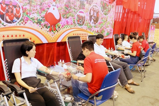 “Giọt hồng trên miền đá” thu hút trên 2.000 người tham gia