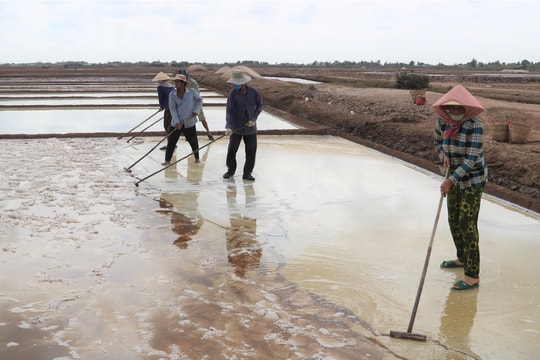 Triển vọng nghề muối Bạc Liêu