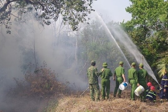 Cảnh báo cháy rừng cấp cực kỳ nguy hiểm với Vườn chim Bạc Liêu
