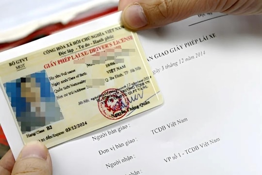 6 trường hợp bị thu hồi giấy phép lái xe từ ngày 01/6/2024