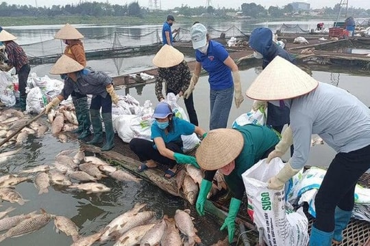 Nhiều sông, nhánh sông qua Hải Dương có hàm lượng oxy hòa tan thấp