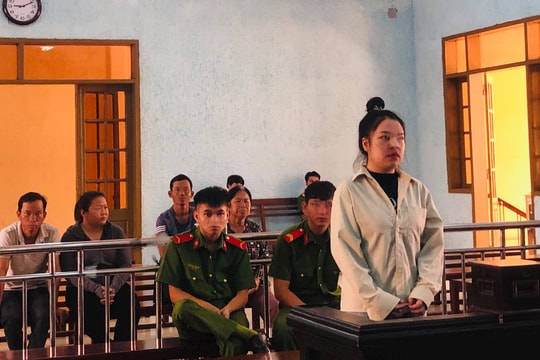 9x lĩnh án vì lừa đảo