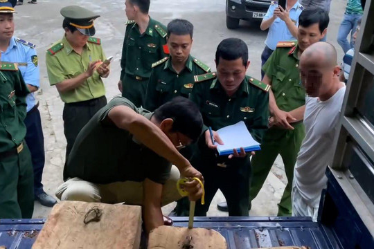 Hai đối tượng vận chuyển lâm sản trái phép
