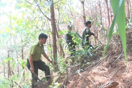Kon Tum: 'Căng mình' phòng chống cháy rừng