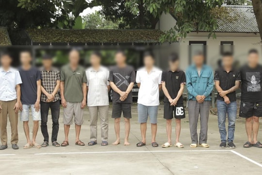 Đánh bạc bằng hình thức đá gà ăn tiền