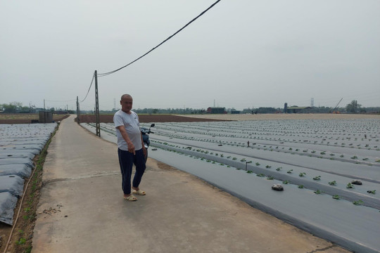 Bị đánh thương tích 38%, nạn nhân đề nghị xử lý nghiêm nhóm đối tượng hành hung
