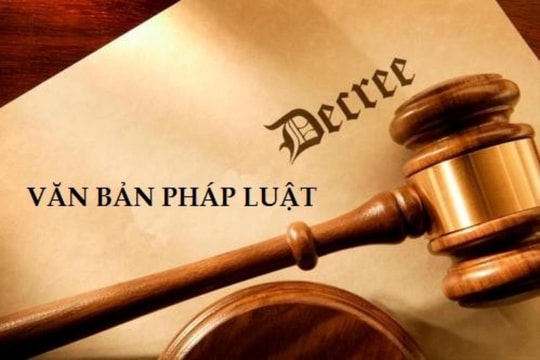 Phân công soạn thảo các văn bản quy định chi tiết Luật Các tổ chức tín dụng và Luật Đất đai