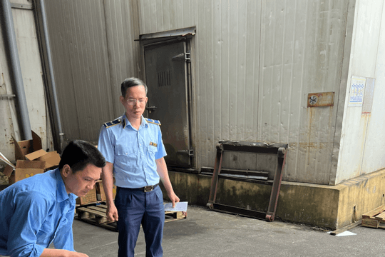 Xử lý hàng nghìn cây xúc xích có dấu hiệu nhập lậu
