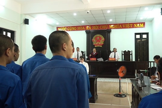Tổ chức sử dụng trái phép chất ma túy trong quán karaoke