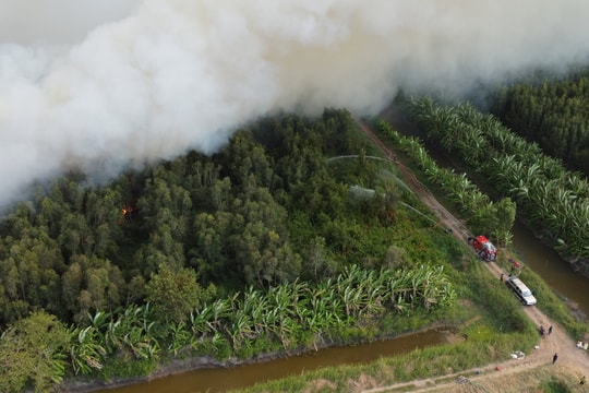 Vụ cháy rừng ở Cà Mau: Đơn vị quản lý rừng chưa thực hiện tốt công tác PCCC