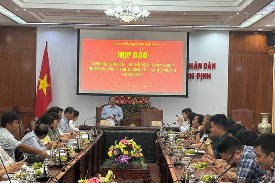 Lãnh đạo UBND tỉnh Bình Định đôn đốc xử lý các vụ việc phá rừng