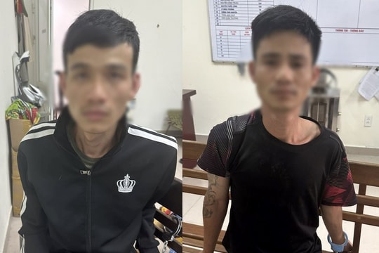 Hai đối tượng thực hiện hàng loạt vụ trộm cắp tài sản
