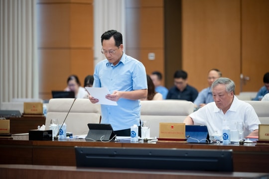 Dự án Luật Tư pháp người chưa thành niên: Phát triển hệ thống tư pháp thân thiện và bảo vệ trẻ em
