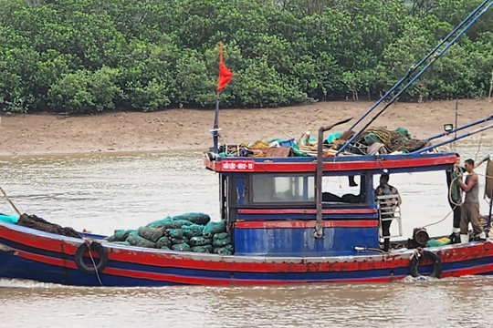 Xuất hiện tàu đánh bắt thủy sản bằng giã cào trên sông