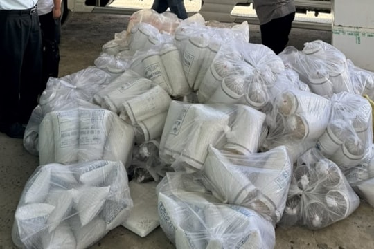 Tiêu hủy hơn 650.000 con tôm giống chưa qua kiểm dịch